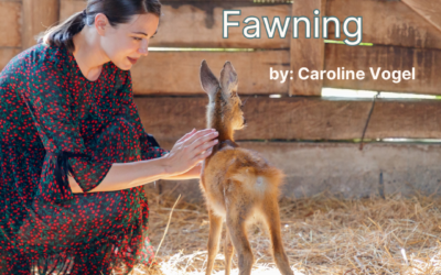 The 4th F: fawning